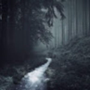 Meet your Posher, Karla